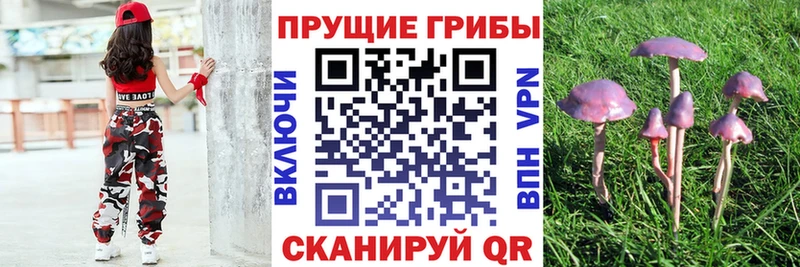 Галлюциногенные грибы Cubensis  kraken рабочий сайт  Ялуторовск 