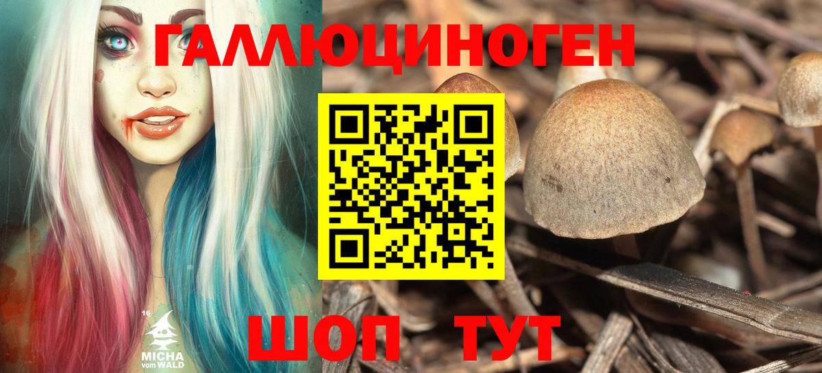 Галлюциногенные грибы Cubensis  Галлюциногенные грибы MAGIC MUSHROOMS  Ялуторовск 