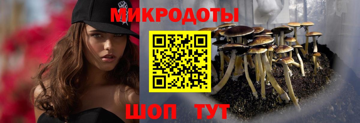 Галлюциногенные грибы GOLDEN TEACHER Ялуторовск